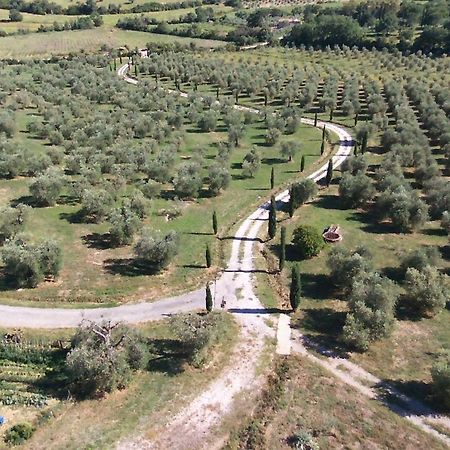 Casetta Dell'Uliveto Macchiascandona ภายนอก รูปภาพ