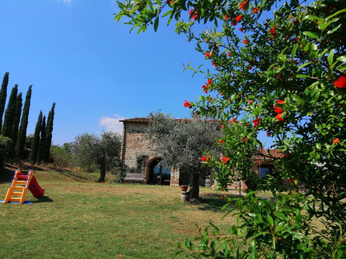 Casetta Dell'Uliveto Macchiascandona ภายนอก รูปภาพ