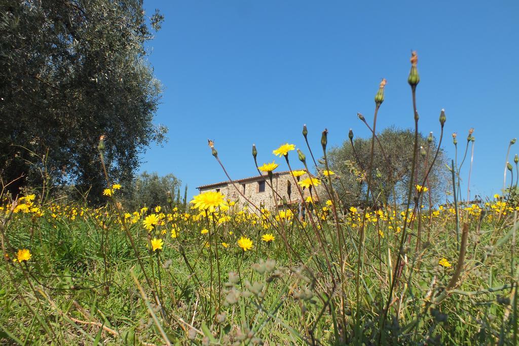 Casetta Dell'Uliveto Macchiascandona ภายนอก รูปภาพ