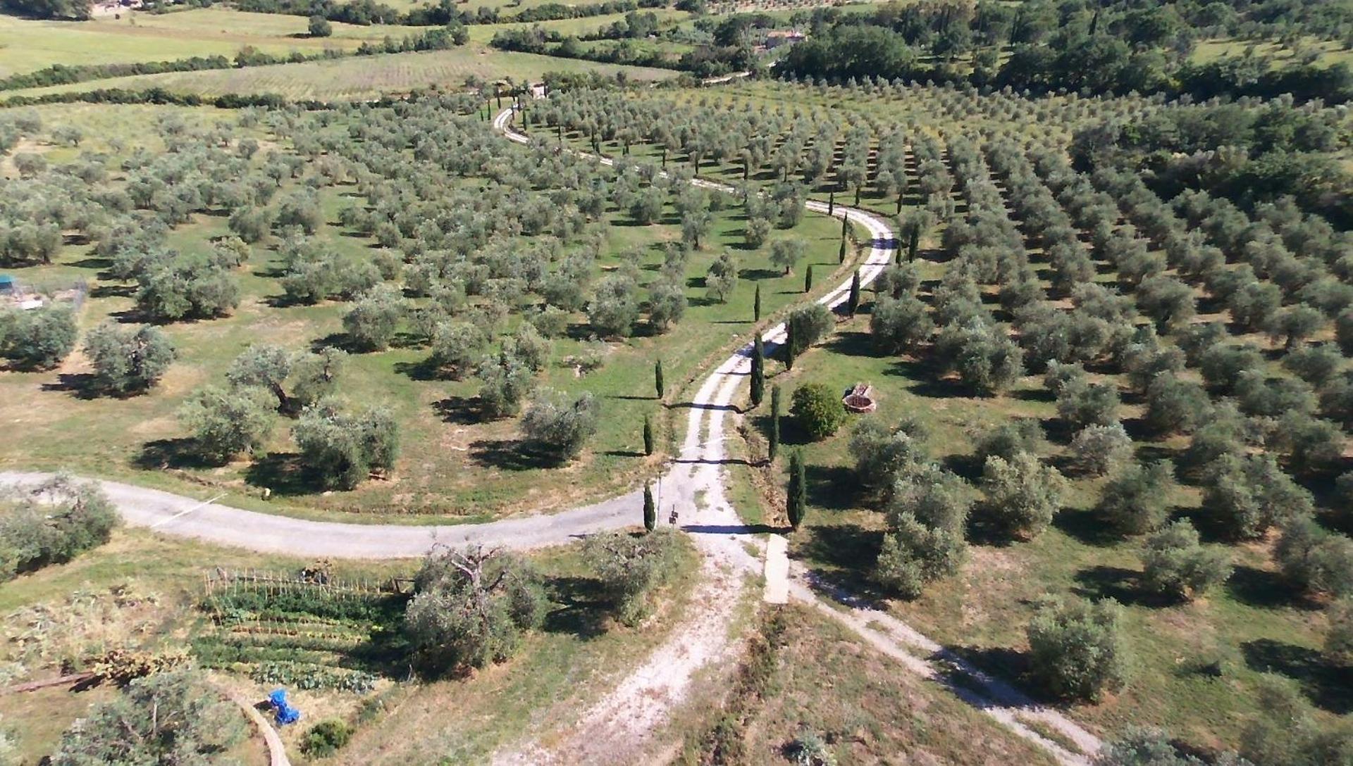 Casetta Dell'Uliveto Macchiascandona ภายนอก รูปภาพ