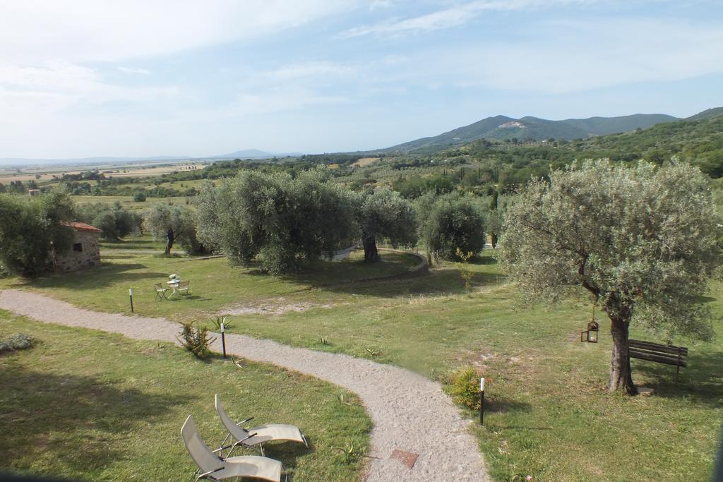 Casetta Dell'Uliveto Macchiascandona ภายนอก รูปภาพ