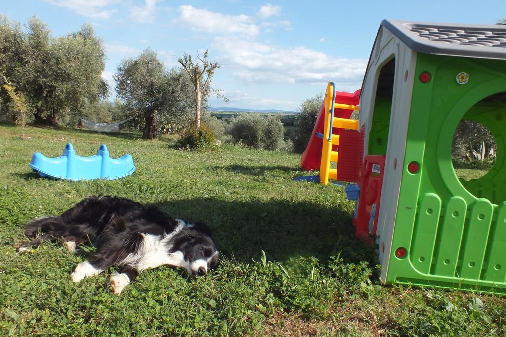 Casetta Dell'Uliveto Macchiascandona ภายนอก รูปภาพ