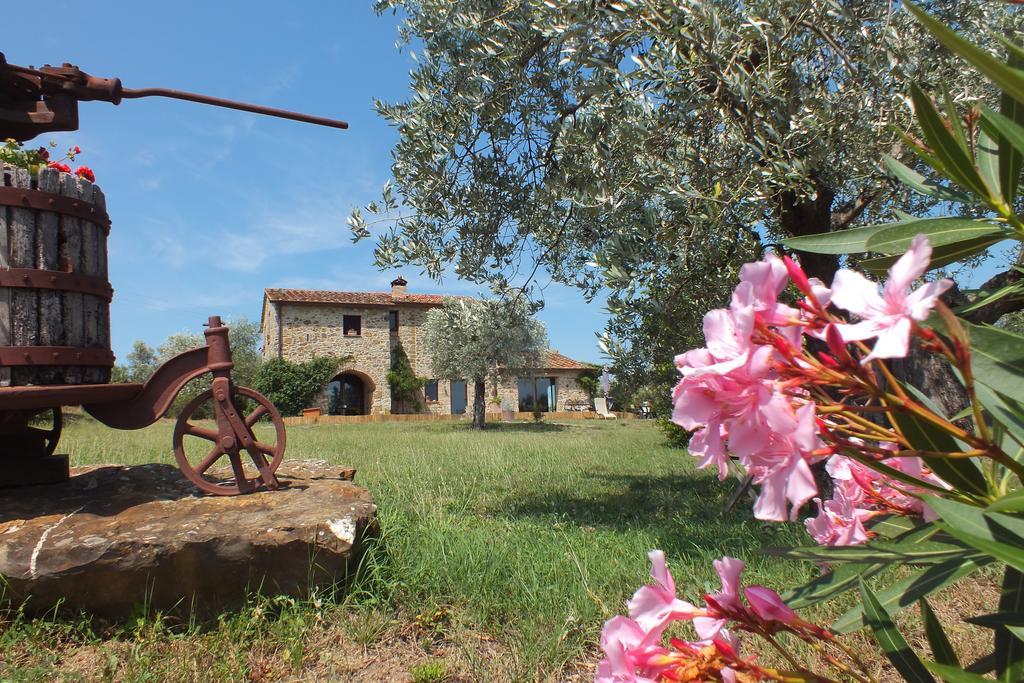 Casetta Dell'Uliveto Macchiascandona ภายนอก รูปภาพ