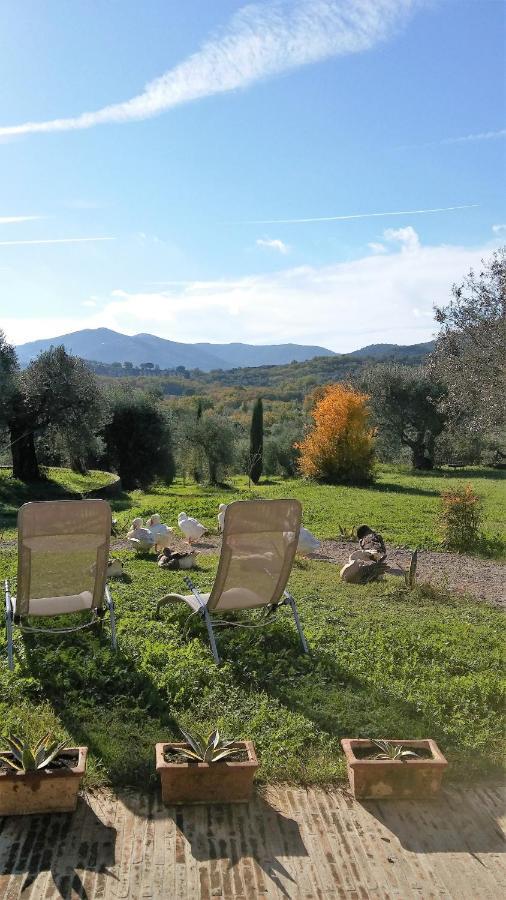 Casetta Dell'Uliveto Macchiascandona ภายนอก รูปภาพ